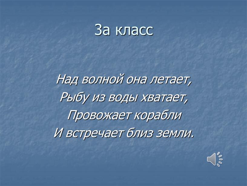 Над волной она летает, Рыбу из воды хватает,