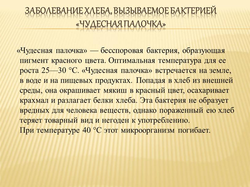 Заболевание хлеба, вызываемое бактерией «чудесная палочка» «Чудесная палочка» — бесспоровая бактерия, образующая пигмент красного цвета