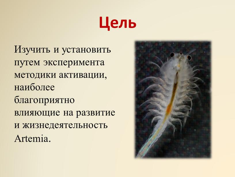 Цель Изучить и установить путем эксперимента методики активации, наиболее благоприятно влияющие на развитие и жизнедеятельность