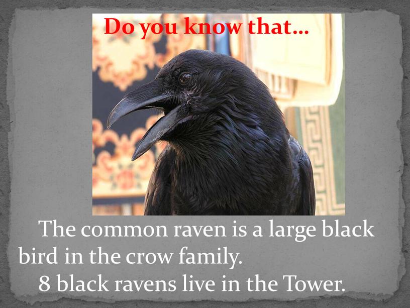 The common raven is a large black bird in the crow family