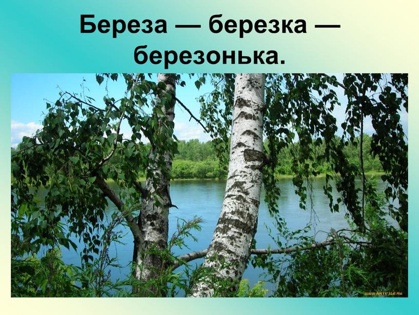 Береза — березка — березонька.