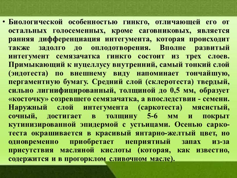 Биологической особенностью гинкго, отличающей его от остальных голосеменных, кроме саговниковых, является ранняя диф­ференциация интегумента, которая происхо­дит также задолго до оплодотворения