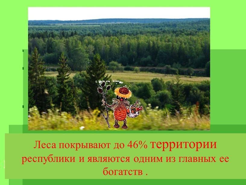 Леса покрывают до 46% территории республики и являются одним из главных ее богатств