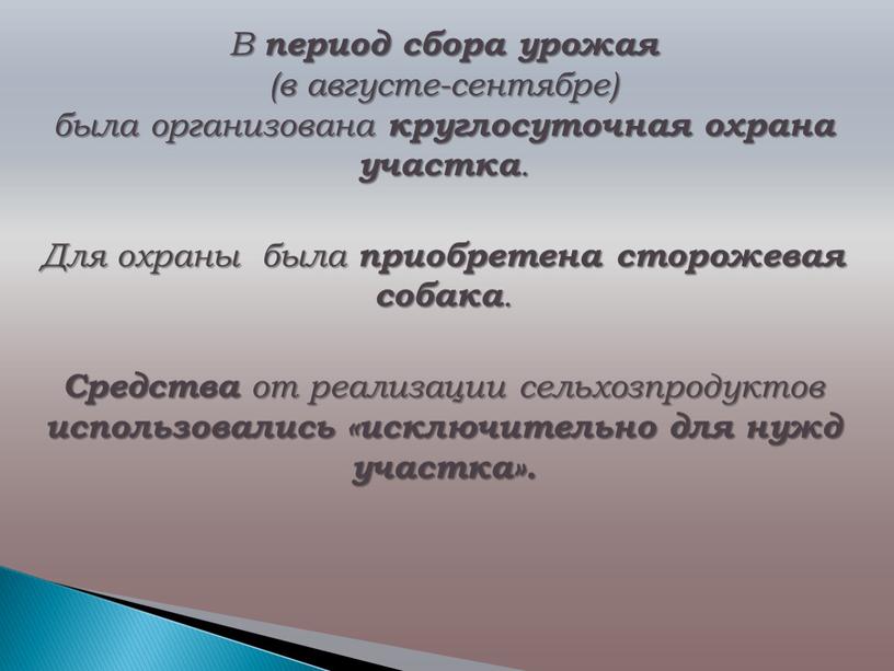 В период сбора урожая (в августе-сентябре) была организована круглосуточная охрана участка