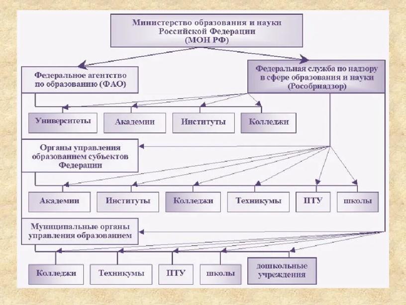 Презентация по обществознанию "Право на образование" , 8 класс