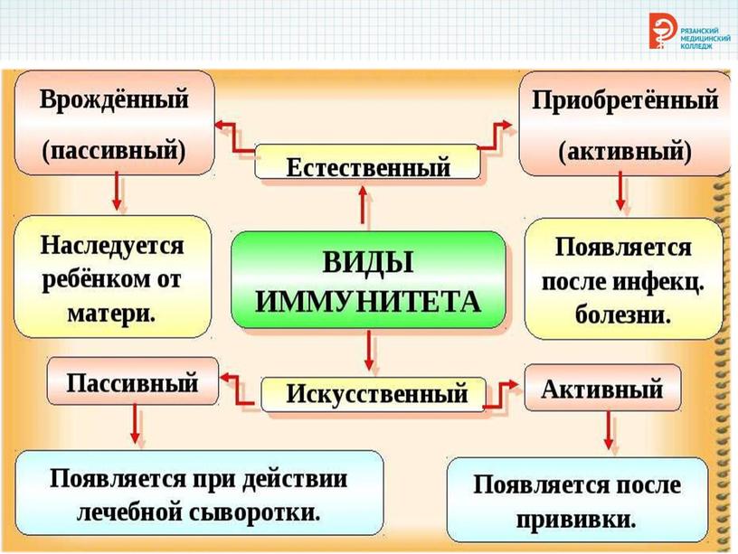 Презентация "Особенности иммунитета у детей"