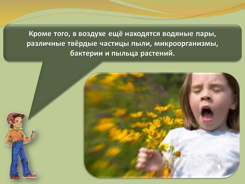 Кроме того, в воздухе ещё находятся водяные пары, различные твёрдые частицы пыли, микроорганизмы, бактерии и пыльца растений