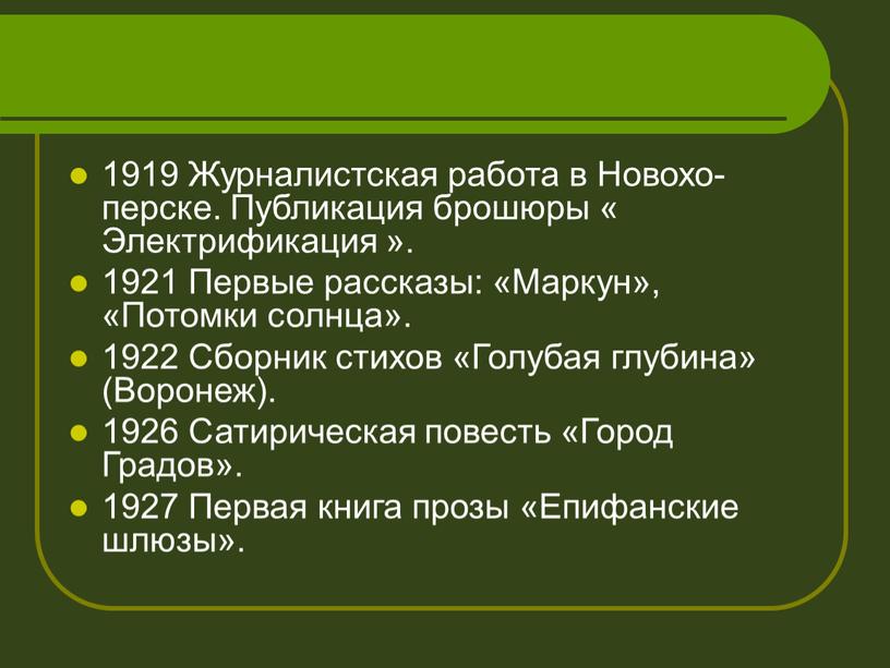 Журналистская работа в Новохо-перске