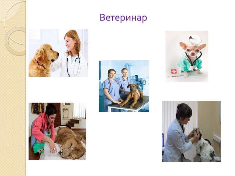 Ветеринар