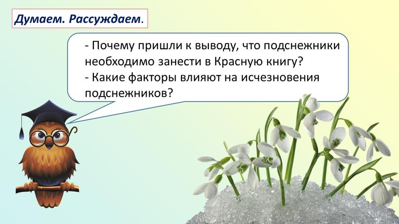 Почему пришли к выводу, что подснежники необходимо занести в