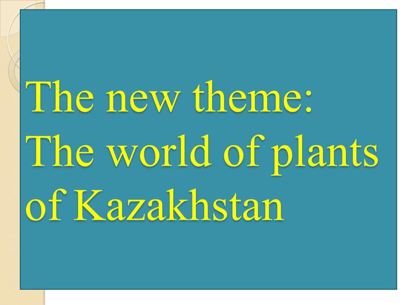 The new theme: The world of plants of