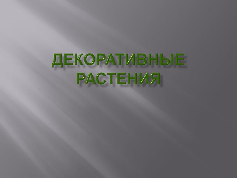 Декоративные растения