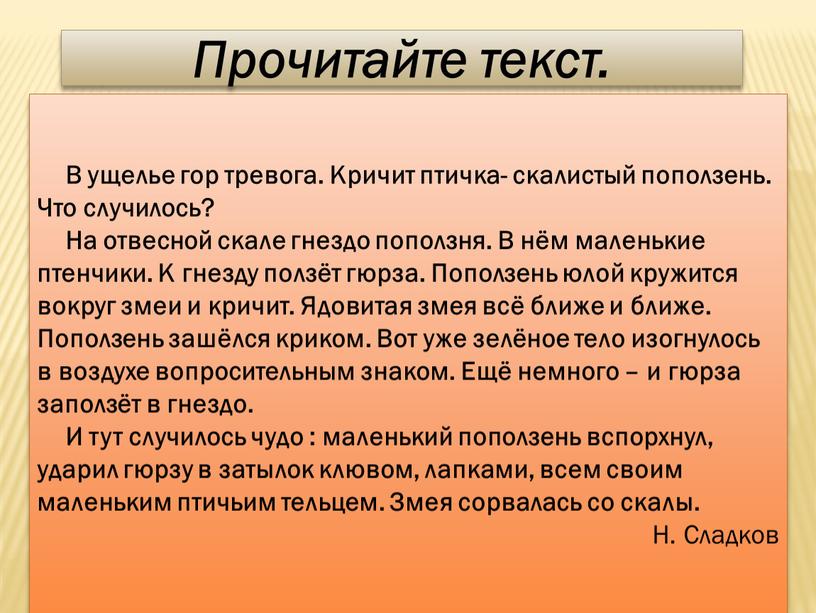 В ущелье гор тревога. Кричит птичка- скалистый поползень