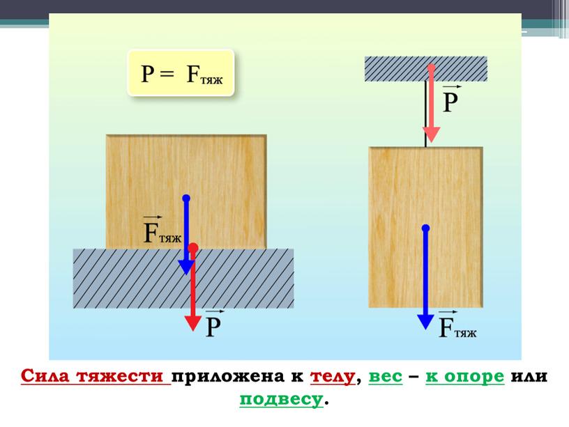 Сила тяжести приложена к телу , вес – к опоре или подвесу