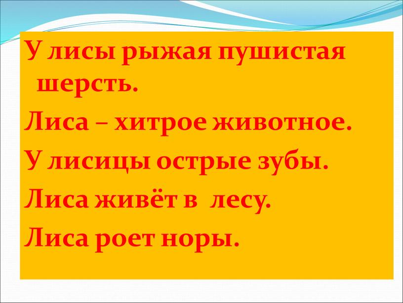 У лисы рыжая пушистая шерсть. Лиса – хитрое животное