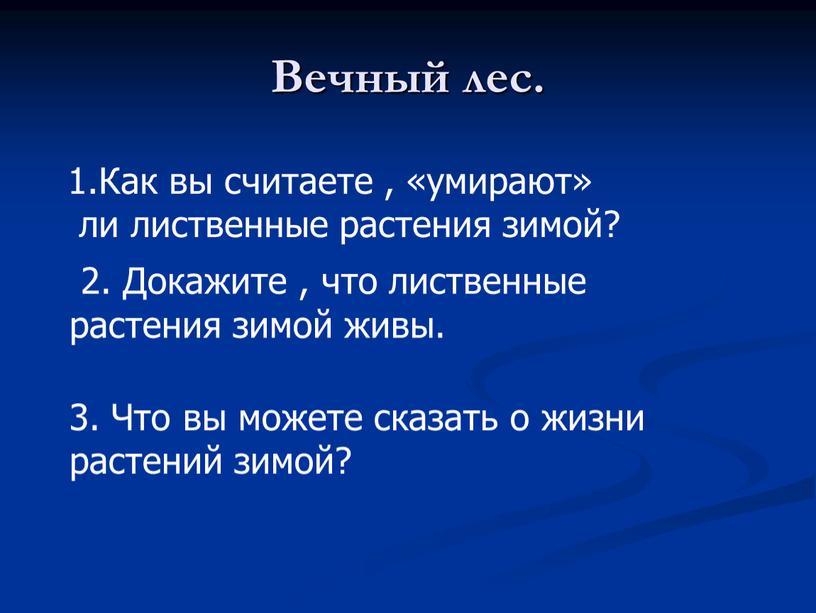 Вечный лес. Как вы считаете , «умирают» ли лиственные растения зимой? 2