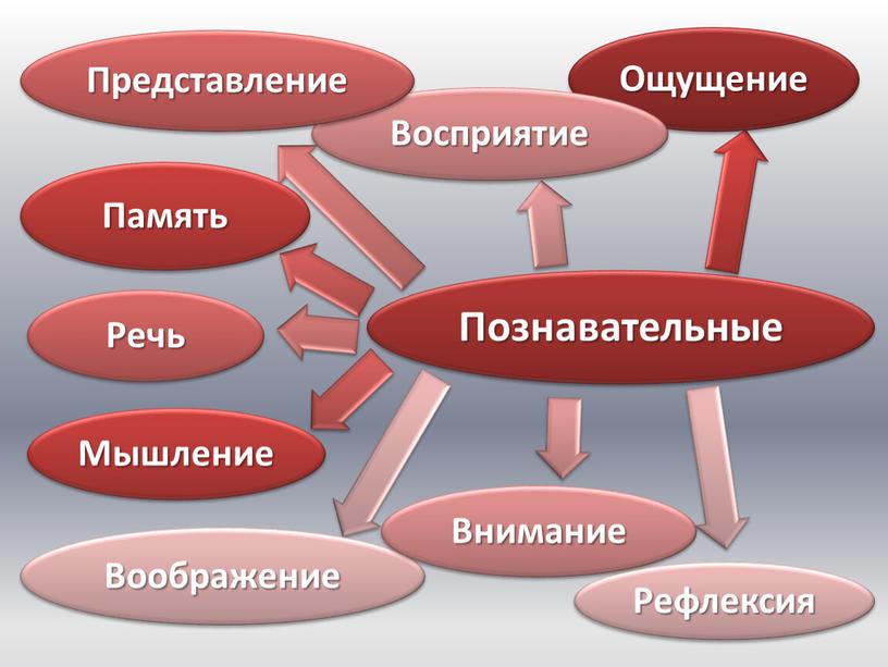 Современная психология, ее предмет и задачи 1 часть