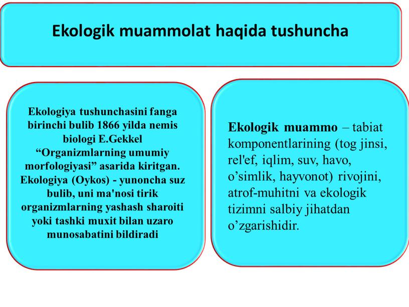 Ekologiya tushunchasini fanga birinchi bulib 1866 yilda nemis biologi