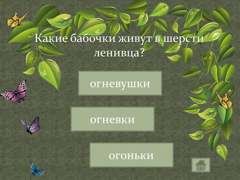 Какие бабочки живут в шерсти ленивца? огневки огневушки огоньки