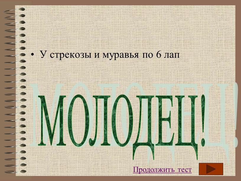 У стрекозы и муравья по 6 лап МОЛОДЕЦ!