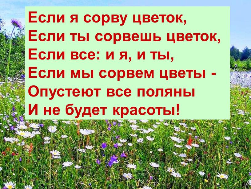 Если я сорву цветок, Если ты сорвешь цветок,