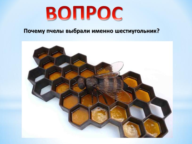 Почему пчелы выбрали именно шестиугольник?