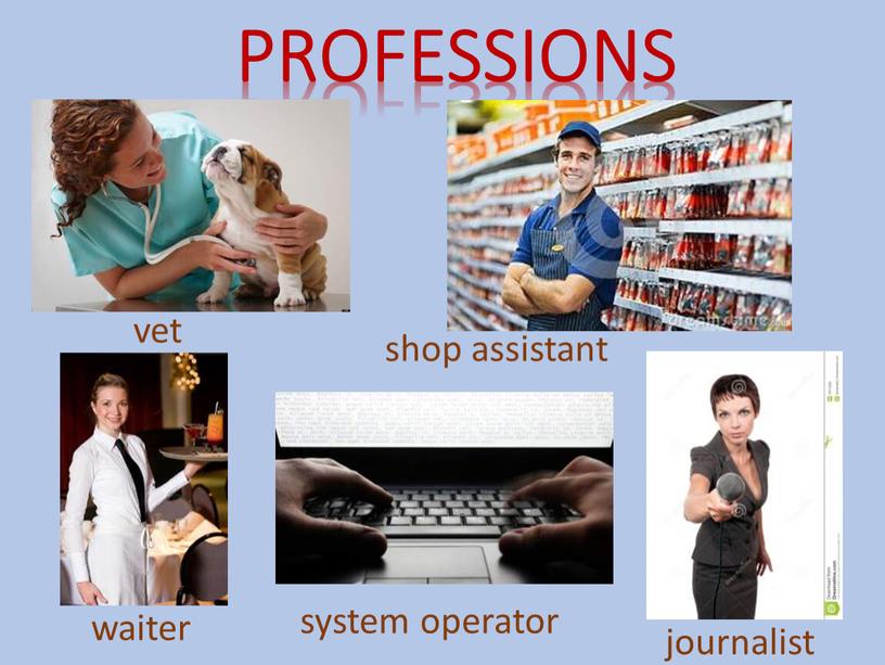 waiter system operator vet journalist shop assistant professions