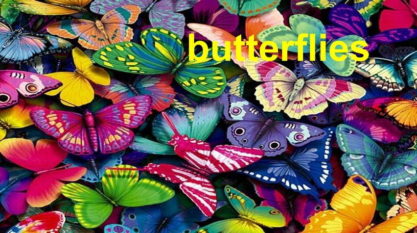 Butterflies Пасечник Е.А. butterflies