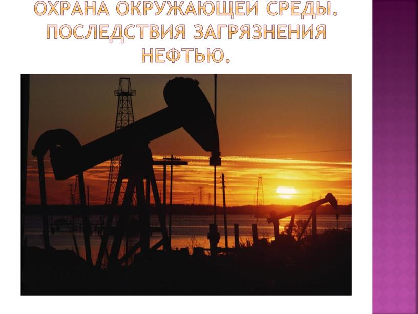 Охрана окружающей среды. Последствия загрязнения нефтью