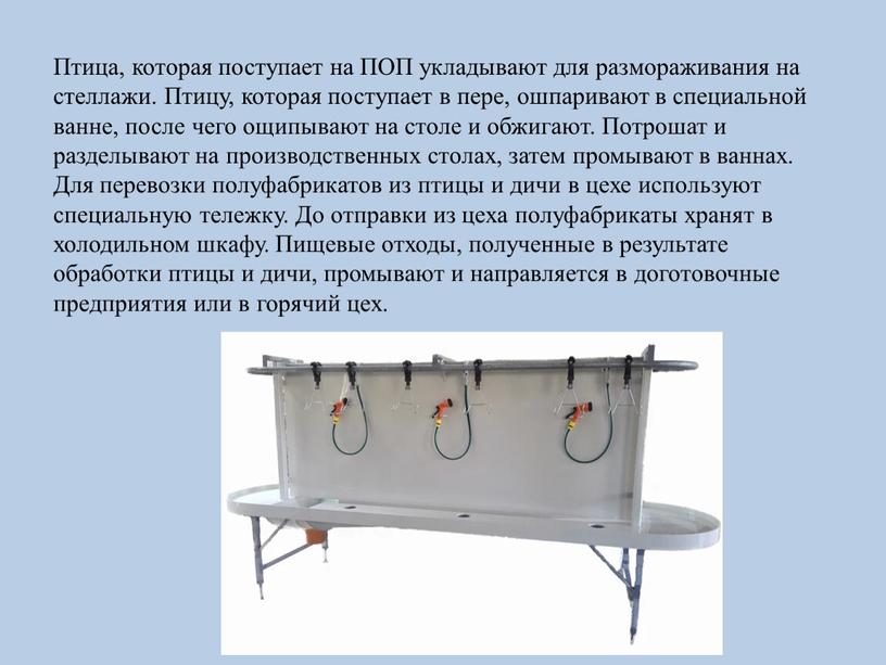 Птица, которая поступает на ПОП укладывают для размораживания на стеллажи