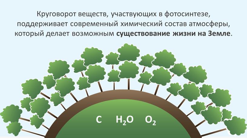 Круговорот веществ, участвующих в фотосинтезе, поддерживает современный химический состав атмосферы, который делает возможным существование жизни на