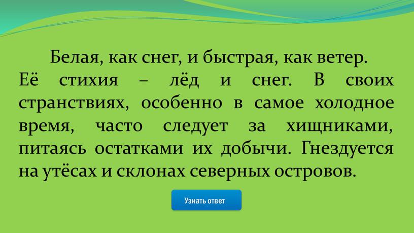 Узнать ответ Белая, как снег, и быстрая, как ветер