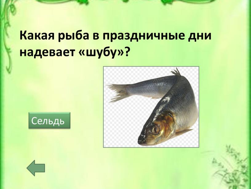 Какая рыба в праздничные дни надевает «шубу»?