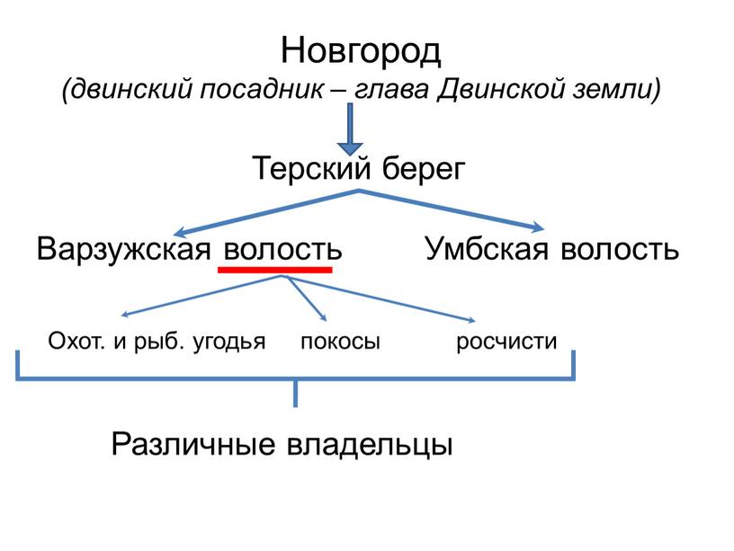 Новгород (двинский посадник – глава