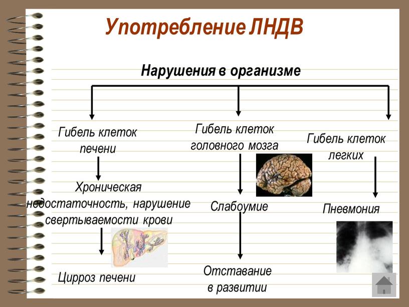 Употребление ЛНДВ Гибель клеток печени