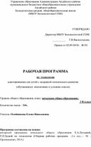 Адаптированная рабочая программа по технологии для детей с ОВЗ 3 класс