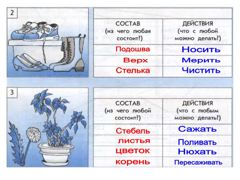 Носить Мерить Чистить Сажать Поливать