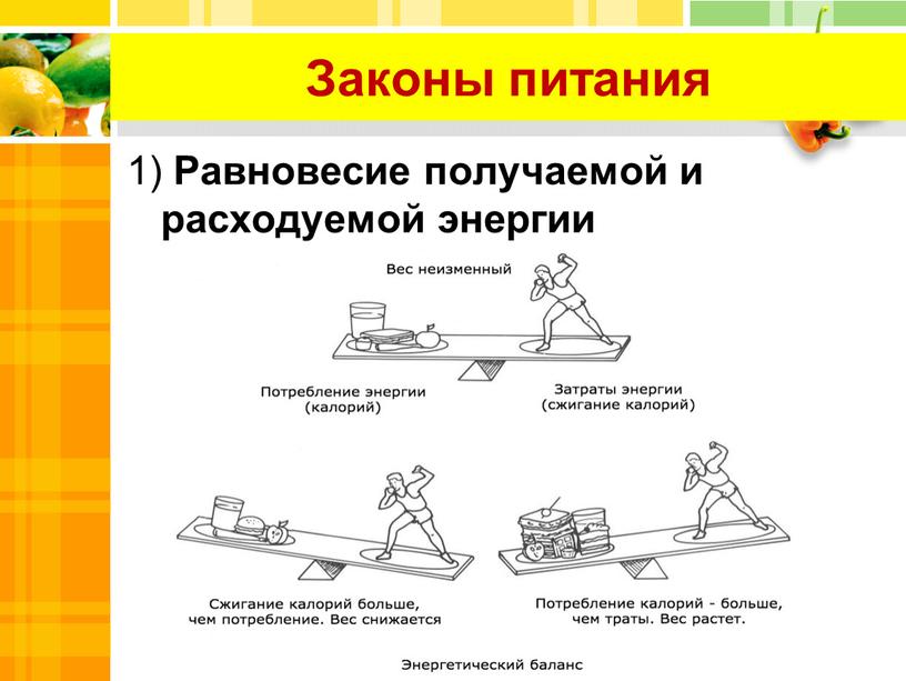 Законы питания 1) Равновесие получаемой и расходуемой энергии