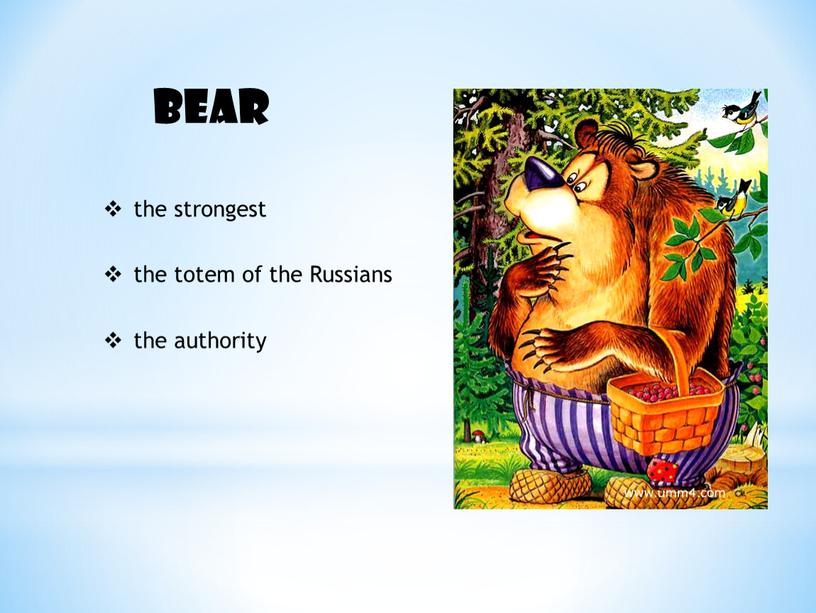 Bear the strongest the totem of the