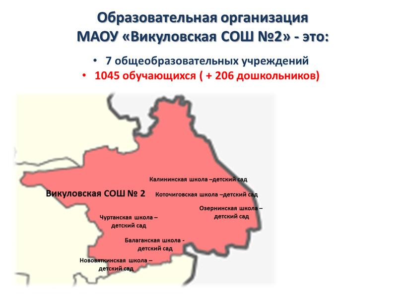 Образовательная организация МАОУ «Викуловская