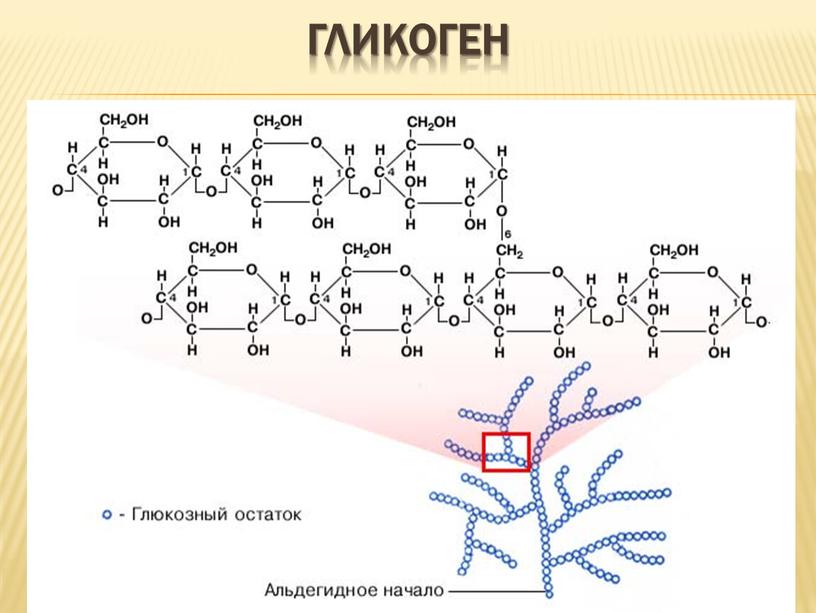 Гликоген