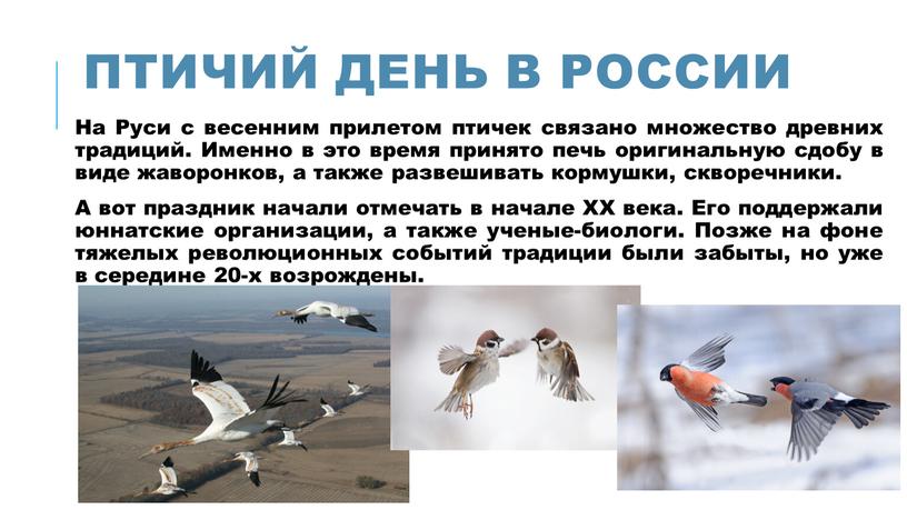 ПТИЧИЙ ДЕНЬ В РОССИИ На Руси с весенним прилетом птичек связано множество древних традиций