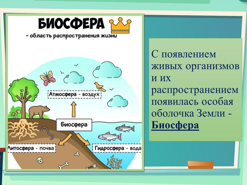 С появлением живых организмов и их распространением появилась особая оболочка