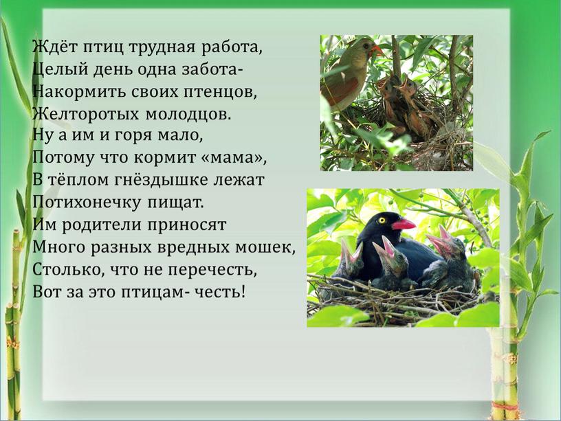 Ждёт птиц трудная работа, Целый день одна забота-