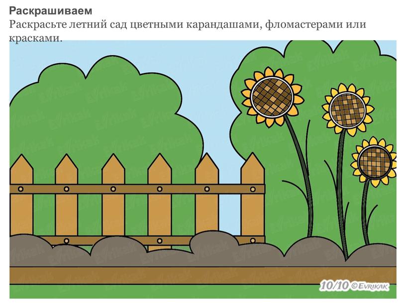 Раскрашиваем Раскрасьте летний сад цветными карандашами, фломастерами или красками