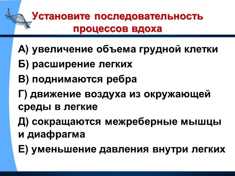 Установите последовательность процессов вдоха