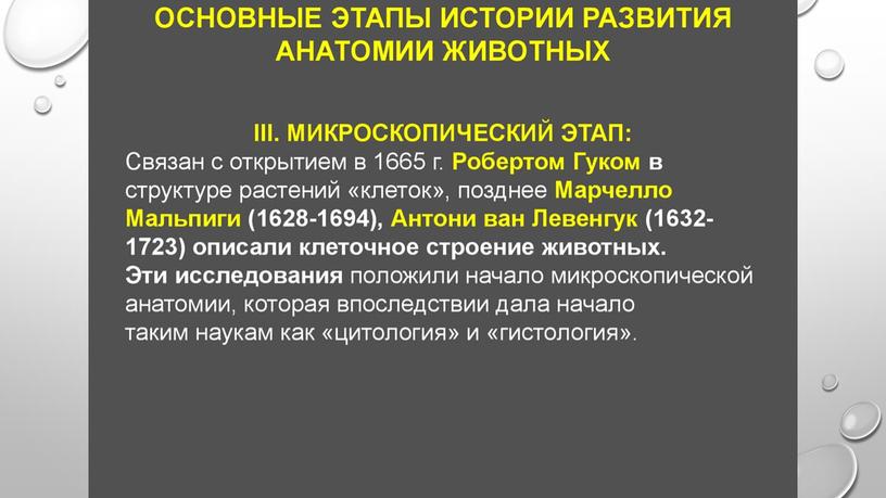 Введение в сравнительную анатомию позвоночных