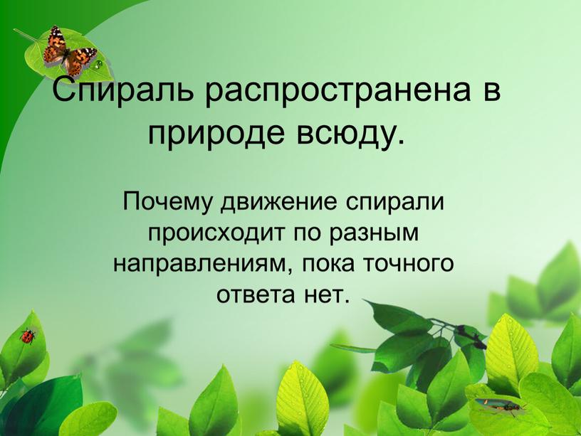 Спираль распространена в природе всюду