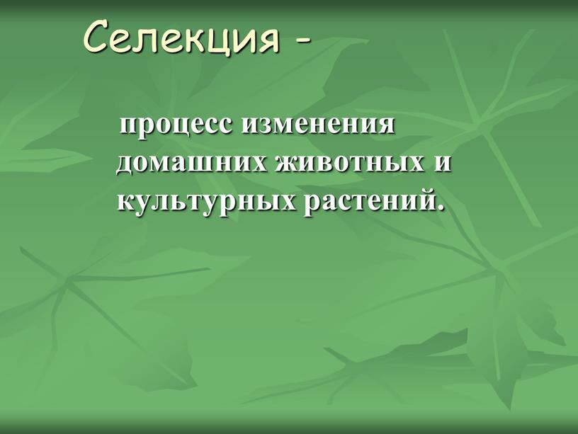 Селекция - процесс изменения домашних животных и культурных растений