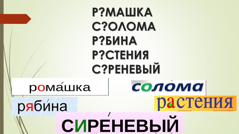 Р?МАШКА С?ОЛОМА Р?БИНА Р?СТЕНИЯ